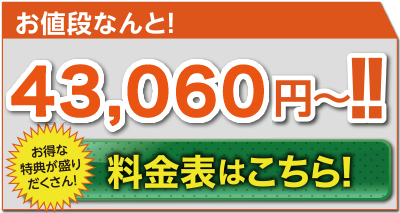 お値段なんと!